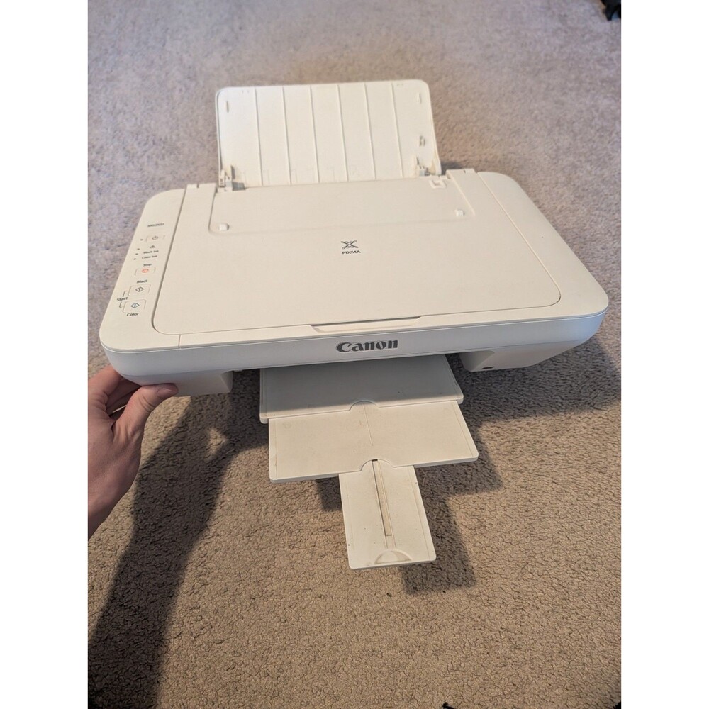 Canon PIXMA MG2522 All-In-One Printer - White cord included works well